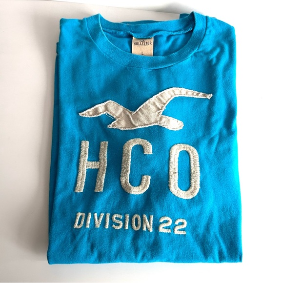 Blue Hollister Short Sleeve Cotton T Shirt Size Large - Picture 2 of 11